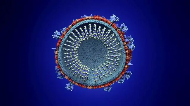 corona