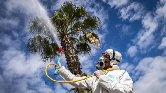 ภาพคนฉีดน้ำ