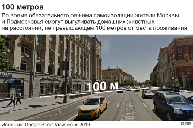 Как выгуливать животных
