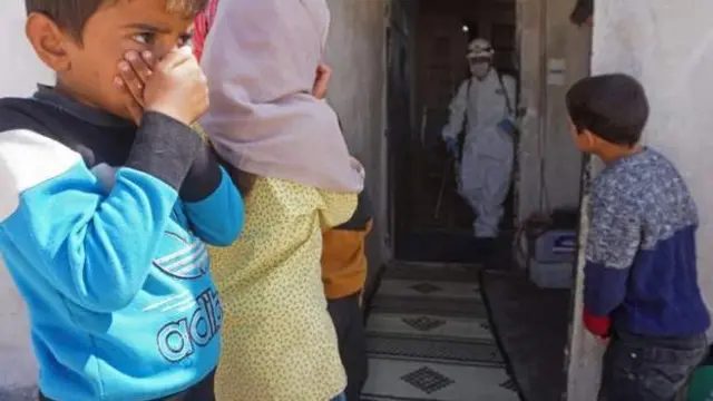 شام، کورونا وائرس