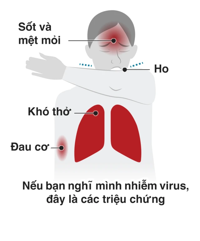 coronavirus