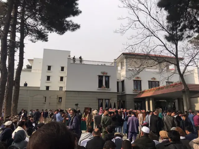 سپیدار