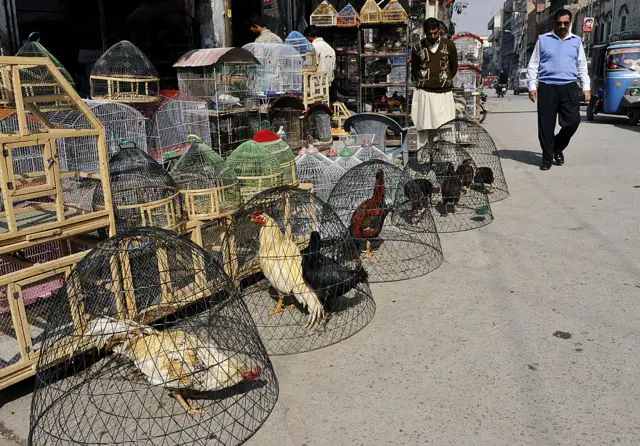 کورونا