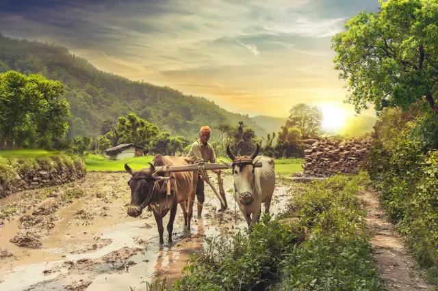 ஏப்ரல் 20 அமலுக்கு வரும் மத்திய அரசின் வழிகாட்டுதல்கள் இவைதான்