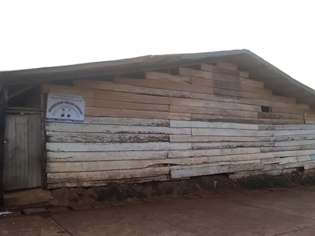 School for Cameroon