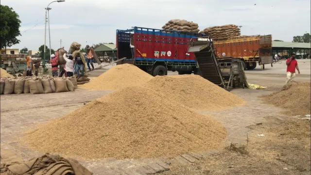 Farm, mandi