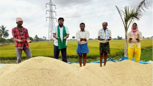 కళ్లెదుటే వరి పంట కనిపిస్తున్నా.. కోతల్లేవు, అమ్మకాలూ లేవు