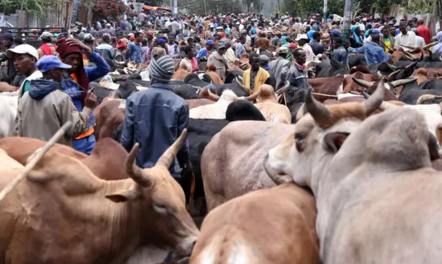 የከብት ገበያ በአዲስ አበባ