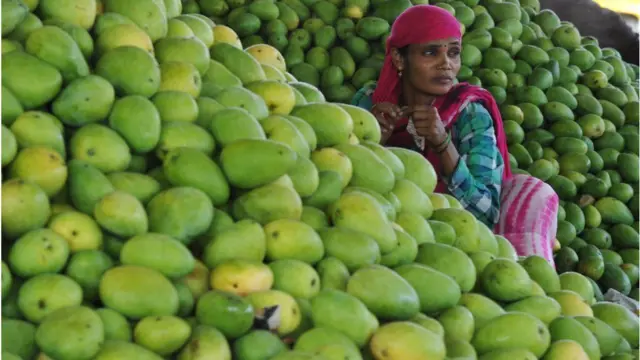 కరోనావైరస్