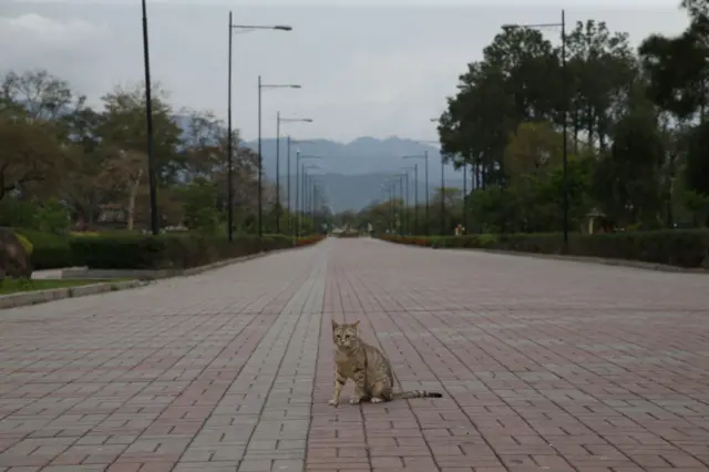 لیک ویو پوائنٹ