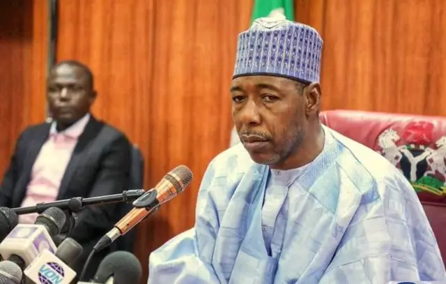 Professor Zulum