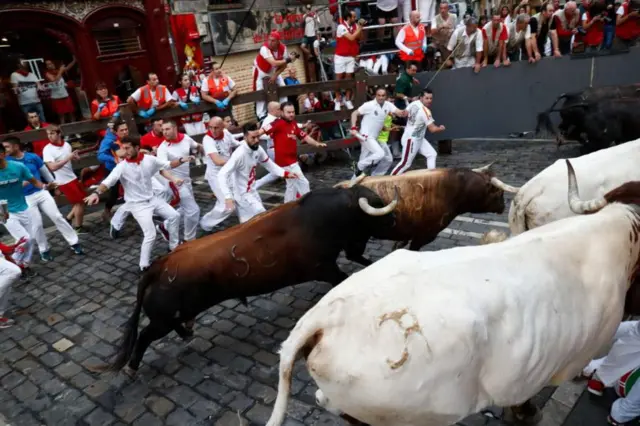 Barana Ispeen keessa festivaalli korma kaachisan hin jiru