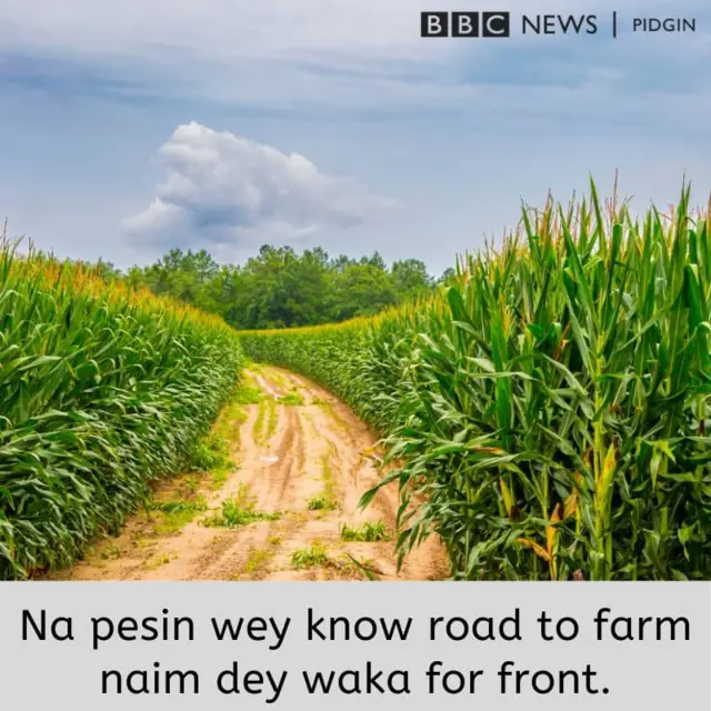 Proverb of di day
