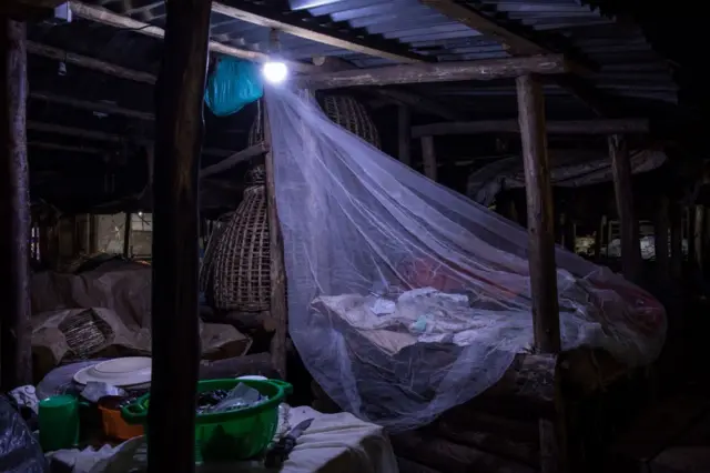 Malaria