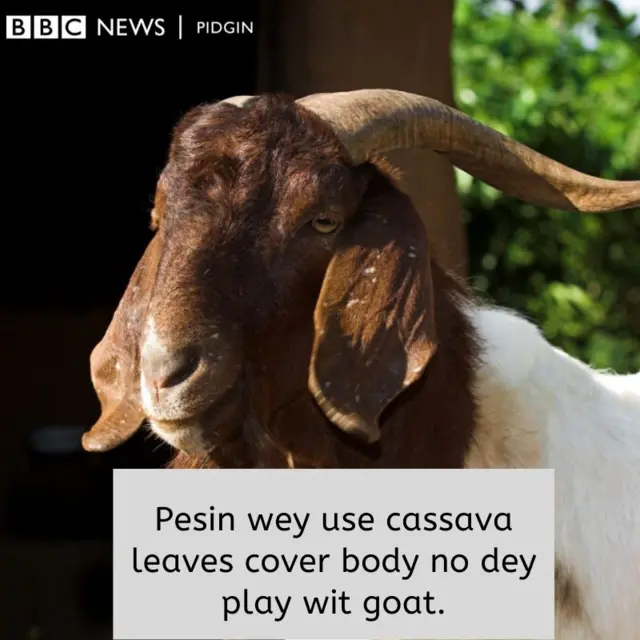 BBC Pidgin proverb