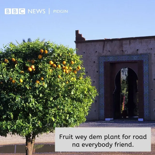 BBC PROVERB