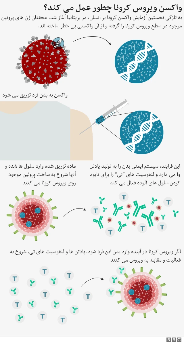 نحوه عملکرد واکسن کرونا در بدن