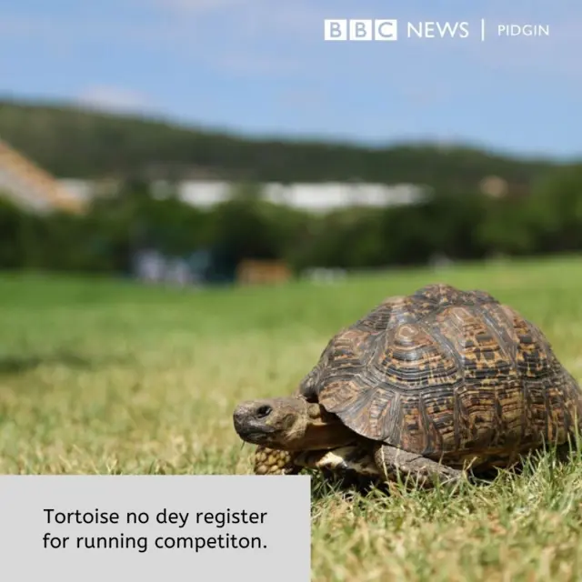 BBC PIDGIN