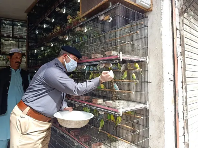 لاک ڈاؤن کے دوران پرندوں کو خوارک مہیا کرنے کے لیے اقدامات