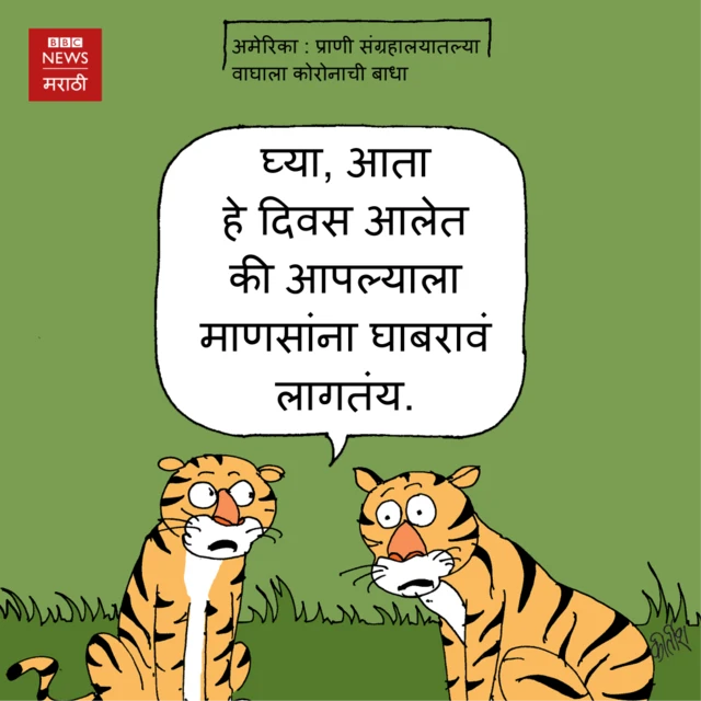BBC