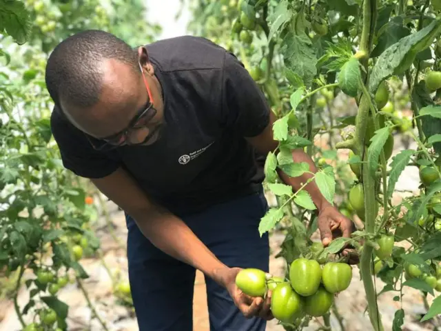 ሮጀርስ ኪርዋ