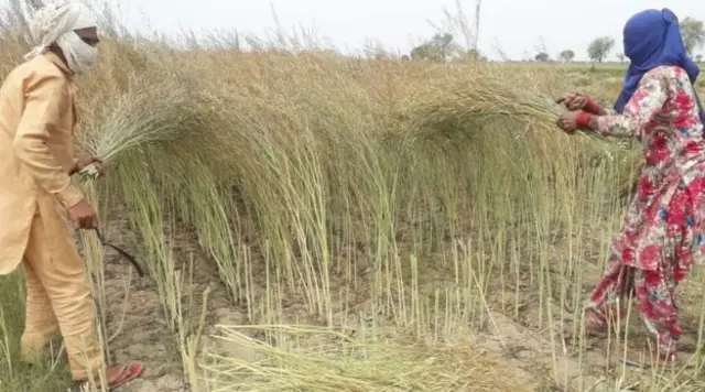ਕੋਰੋਨਾਵਾਇਰਸ