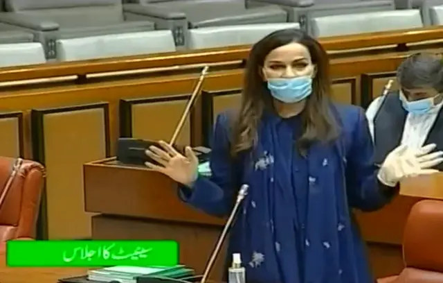 سینیٹر شیری رحمان: وزیر اعظم کی کورونا سے متعلق پالیسی لاپتہ ہے