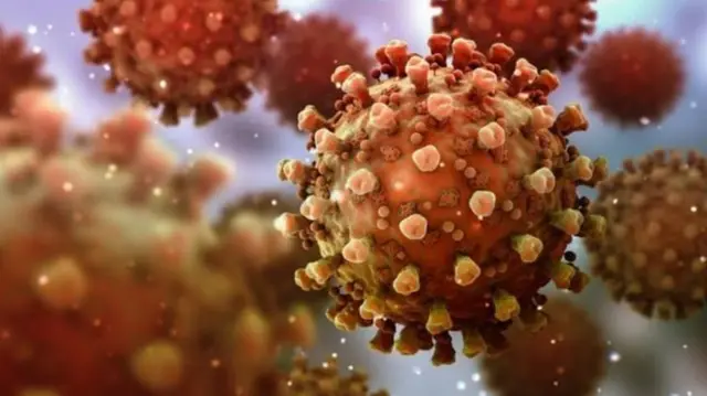 ਕੋਰੋਨਾਵਾਇਰਸ