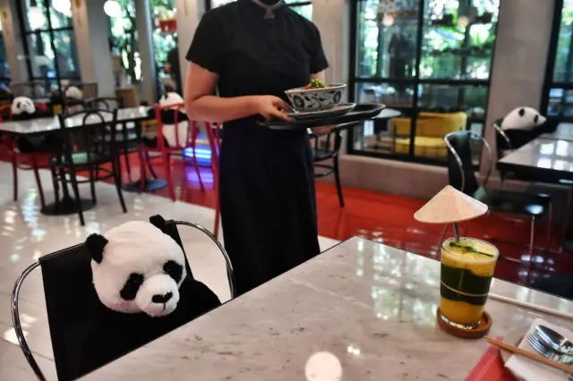 panda