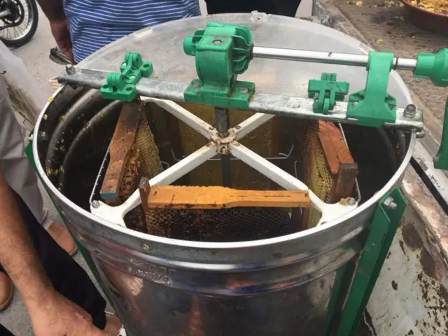 ማር ማጣሪያ