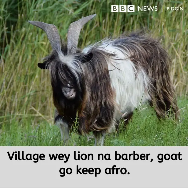 BBC Pidgin Proverb