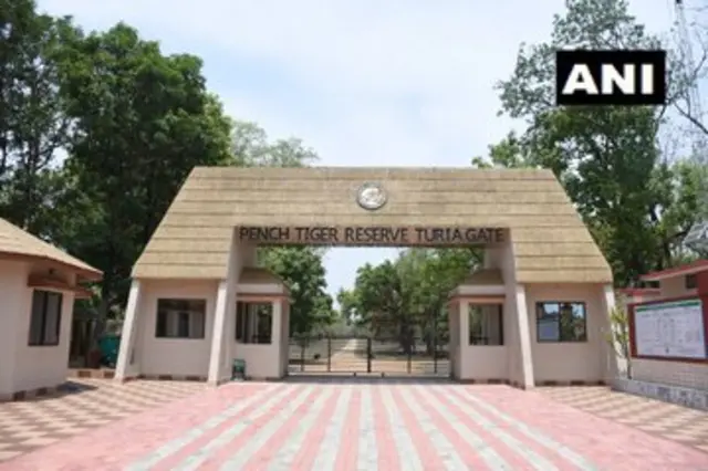 ताडोबा अंधारी