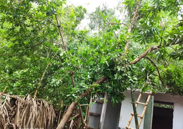 আম্পান
