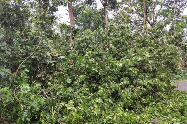 আম্পান