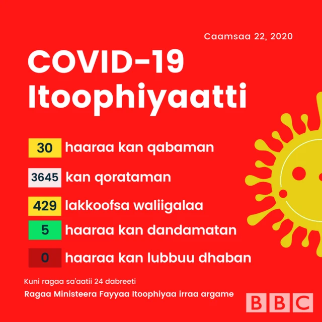 Graphics lakkoofsa Covid-19 Itoophiyaatti muldhisu