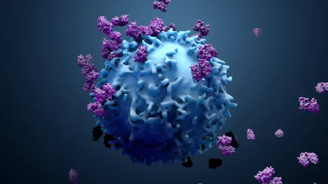 corona virus