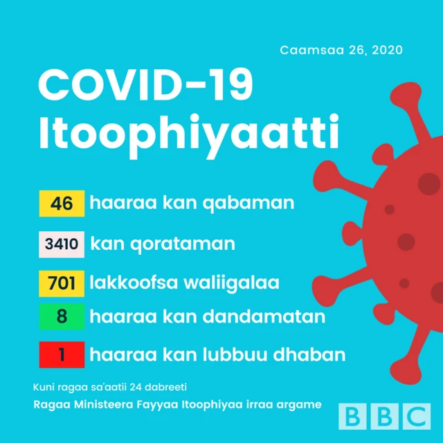 Haala Covid-19 Itoophiyaa