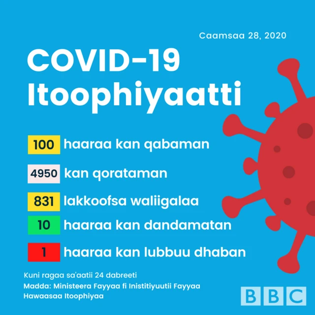 Haala Covid-19 Itoophiyaa