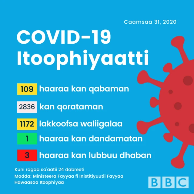 Haala Covid-19 Itoophiyaa