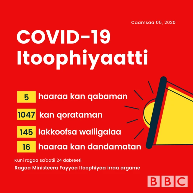 Giraafiksii lakkoofsa agarsiisu