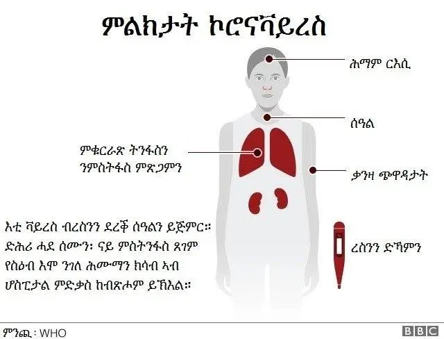 ኮሮናቫይረስ