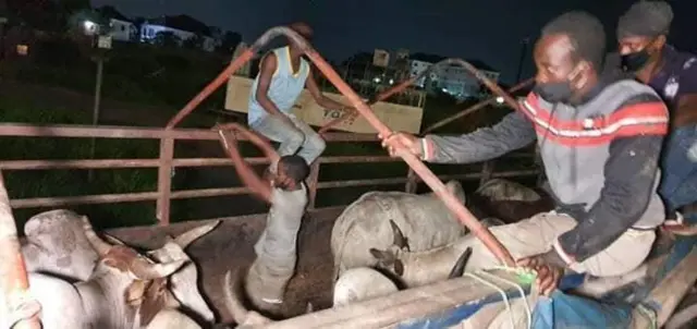 Pipo wey smuggle demsef enta Rivers