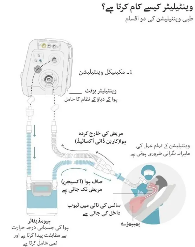 پاکستان