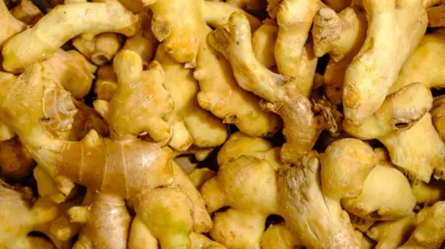 کورونا