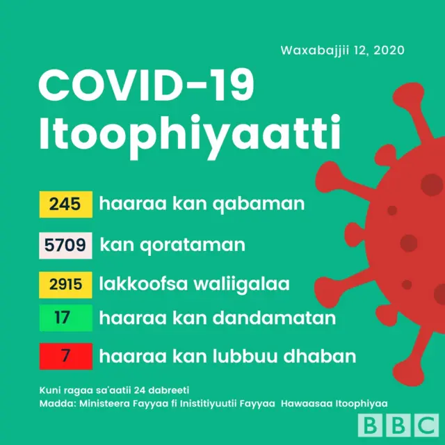 Itoophiyaatti lakkoofsi olaanaan namoota qabamanii galmaa'e