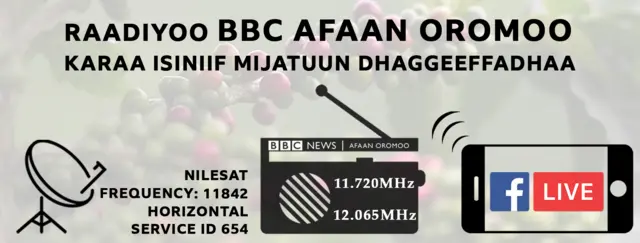 Raadiyoo BBC Afaan Oromoo