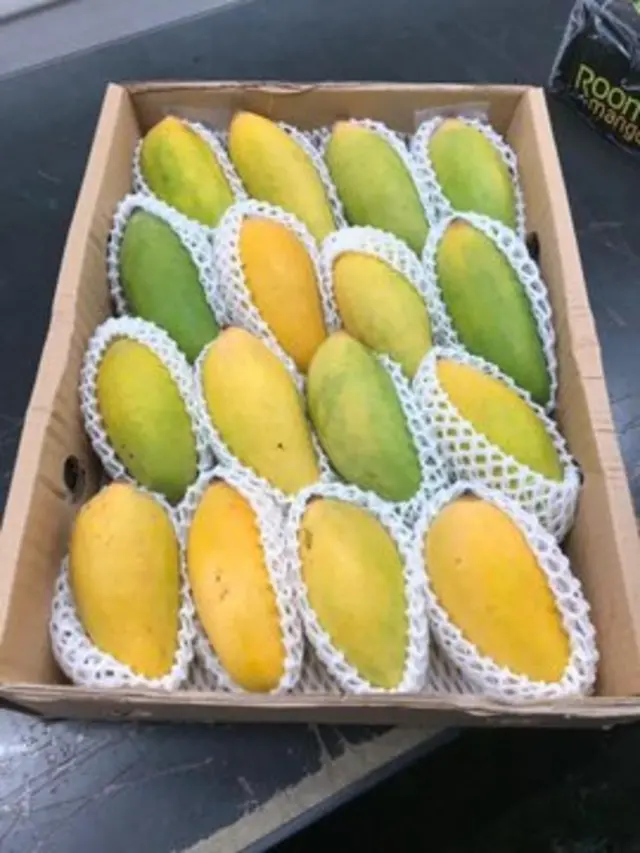 MANGO