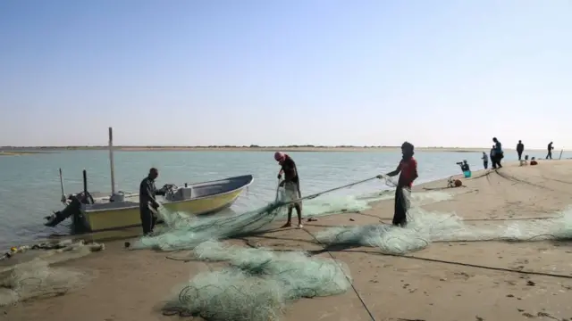 سواحل جاسک