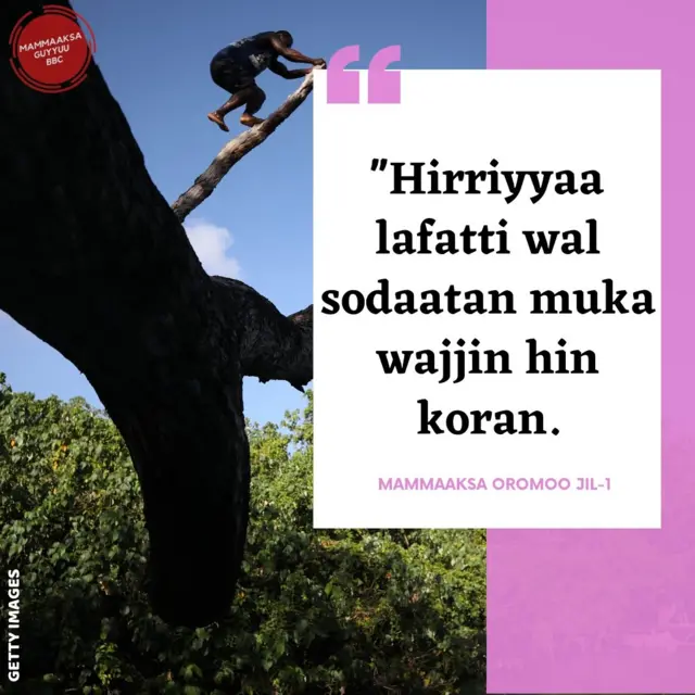 Mammaaksa
