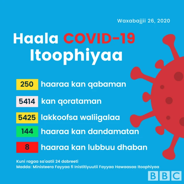 Haala Covid-19 Itoophiyaa